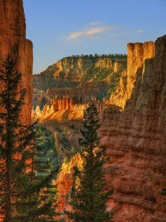 
                        
                            Bryce Canyon National Park, Utah, United States
                        
                    