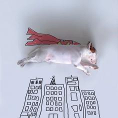 Cultura Inquieta - Ilustraciones con su bull terrier