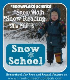 Snow School: Snowflake Science, Snow Math, Snow Reading and Snow Projects