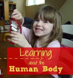 Learn all about the human body with these lesson plans. 12 weeks of fun activities for K-3rd graders!