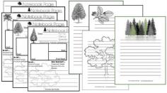 
                        
                            Use the tree notebook pages available on Harrington Harmonies Store for any study on trees plus an additional list of recommended resources. ($3.99)
                        
                    
