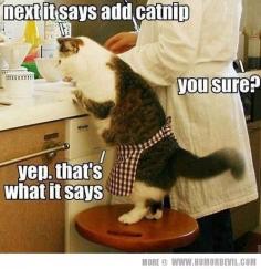 Yep, this is gonna be nummy, got my catnip over here....