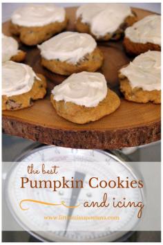 
                        
                            The BEST pumpkin cookies with icing--seriously ridiculous!
                        
                    
