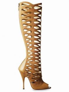 Brian Atwood 2014