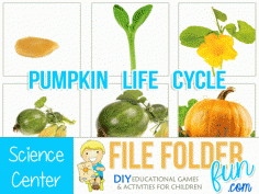 Subscriber Freebie!  Pumpkin Life Cycle Cards