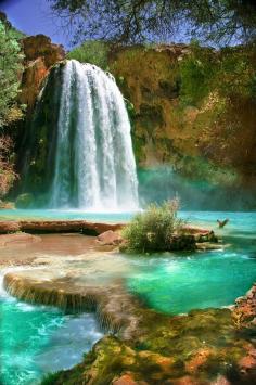 
                        
                            Havasu Falls in Havasu Creek, Arizona United States
                        
                    