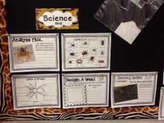 
                        
                            Take a Peek at our SPIDER Week in Room 102!
                        
                    