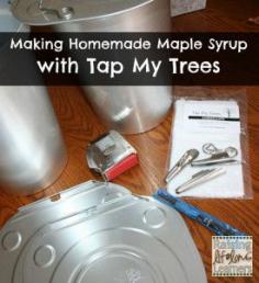 
                        
                            Making-Homemade-Maple-Syrup-with-Tap-My-Trees
                        
                    
