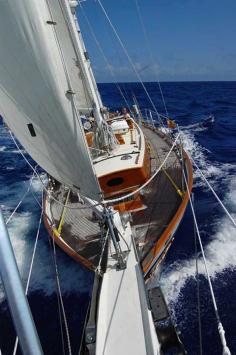 yachtgasm: “ Cherubini 44’ sailing the Marion to Bermuda race ”