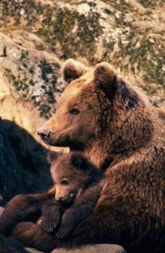 ^Mother with cub.