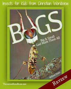
                        
                            Bugs: Big and Small God Made Them All by Will Zinke - Review
                        
                    