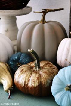 
                        
                            chalk paint pumpkins | perfectly imperfect
                        
                    