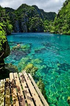 
                        
                            Kayangan Lake, Coron islands, Palawan, Philippines.
                        
                    