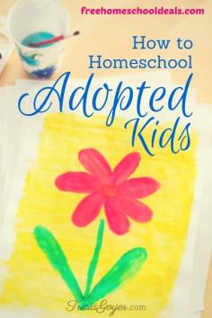 
                        
                            When John and I planned on adopting children, I knew that I wanted to homeschool them. I homeschooled our oldest three from preschool through high school and it was a wonderful experience. Yet homeschooling my adopted kids didn’t happen as easy (or as quickly) as I thought.
                        
                    