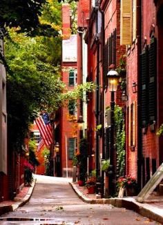 
                        
                            Cedar Lane Way, Beacon Hill, Boston.
                        
                    