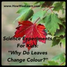 Simple science project to show kids why leaves change colors. Can't wait to try this with my kids!