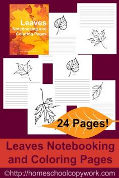 
                        
                            Have you been celebrating the Autumn harvest? Leaf notebooking pages and Leaf Coloring Pages - 24 pages in all.
                        
                    
