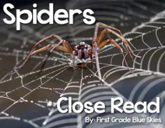 First Grade Blue Skies: Spookley the Square Pumpkin Craft {and Spiders Close Read}