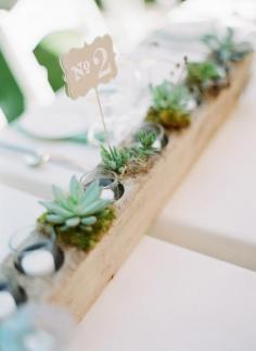 Rows of alternating Succulents and Votives - so pretty | See the wedding on SMP - www.StyleMePretty... Lexia Frank Photography