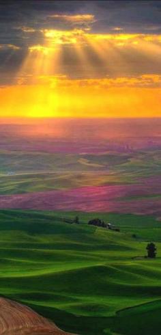 The beautiful Palouse of southeastern Washington • photo: Kevin McNeal on Wordpress