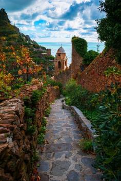
                    
                        Autumn Pathway Of Life - Cinque Terre, Italian Riveria, Italy
                    
                