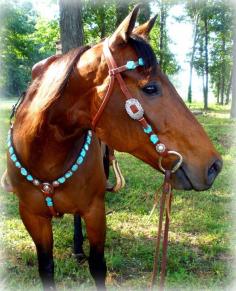 Love turquoise tack.