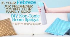 
                    
                        Is Your Febreze Air Freshener Making Your Family Sick? DIY Non-Toxic Room Sprays
                    
                