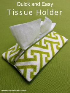
                        
                            Quick and Easy Tissue Holder
                        
                    