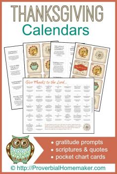 
                        
                            Thanksgiving Gratitude Calendars - gratitude prompts, scriptures and quotes, and pocket chart cards. ProverbialHomemak...
                        
                    