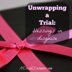 
                    
                        Profound post about seeing our trials from God's perspective...and we might just see they're not really trials at all. adivineencounter....
                    
                