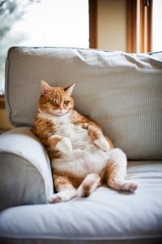 
                    
                        Couch potato.
                    
                