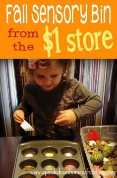 Sensory bins are a great way for toddlers to learn. Check out this Fall themed sensory bin made with items from the $1 Store!!
