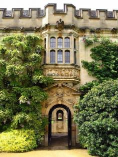 
                    
                        Oxford
                    
                