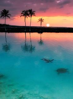 
                        
                            Sunset at Kiholo Bay, Hawaii
                        
                    