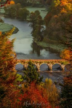 
                        
                            Inistioge Bridge, Inistioge, County Kilkenny, Ireland
                        
                    