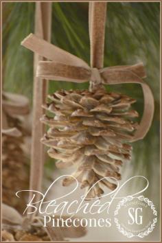 
                    
                        BLEACHED PINECONES DIY- gorgeous and unusual-easy and doable! stonegableblog
                    
                