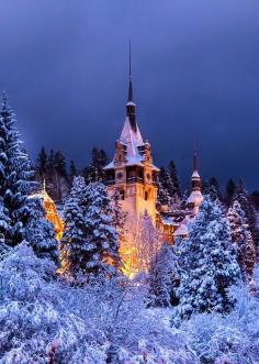 Winter has never been so beautiful . Peles Castle, Romania