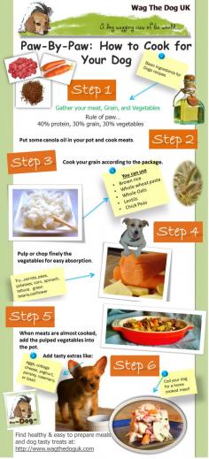 
                    
                        How to cook for your dog: Can you imagine how dull it would be to eat the same food every day out of a can? Why not treat your dog to some fresh lovingly made food right from your kitchen.
                    
                
