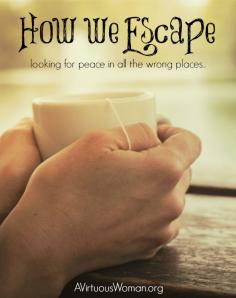 
                    
                        How We Escape... looking for peace in all the wrong places. @ AVirtuousWoman.org #ATimeToClean #declutter
                    
                