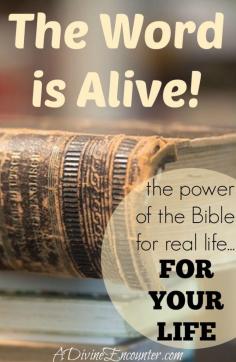 
                    
                        A personal look at the power of the Bible, examining its authority as the very best text when taught by the very best Teacher, the Holy Spirit. (Hebrews 4:12) adivineencounter....
                    
                