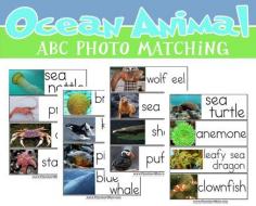 
                    
                        Ocean Animal ABC's: Coloring Pages, Handwriting Worksheets, Photo Matching Cards and more thematic Ocean printables for your classroom.
                    
                