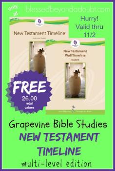 
                        
                            Hurry! This is an awesome FREEbie from Grapevine Studies. It's valued at 26.00. It ends on 11/2!
                        
                    