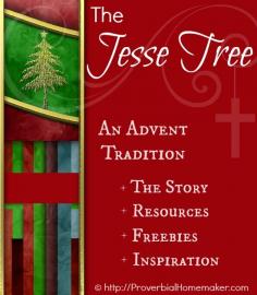 
                    
                        The Jesse Tree - An Advent Tradition. Resources, freebies, and inspiration for advent. ProverbialHomemak...
                    
                