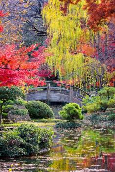 
                    
                        Moon Bridge in the Japanese Gardens
                    
                