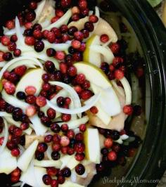 
                    
                        Crockpot Chicken with Butternut Squash, Pears and Cranberries is a great Paleo recipe!@Jillian Medford Medford Medford Ryan this looks amazing!
                    
                