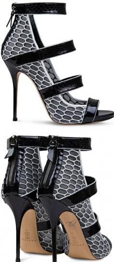 Casadei