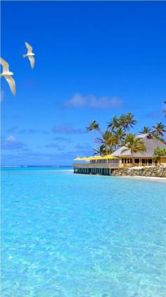 
                    
                        Travel - Fiji Islands
                    
                