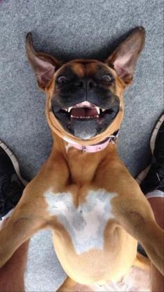 
                    
                        Animal Humor - Best "selfie" ever!
                    
                