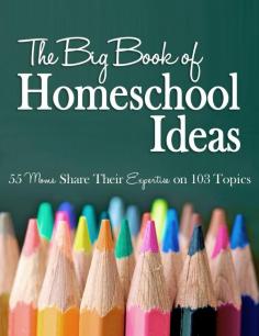 
                        
                            Over 100 Homeschool Ideas including preschool, geography, math, and more! #affiliate
                        
                    