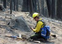 
                    
                        California's Rim Fire has left a contiguous barren moonscape in the Sierra Nevada mountains that experts say is larger than any burned in centuries. (via @The Associated Press; photo via US Forest Service)
                    
                